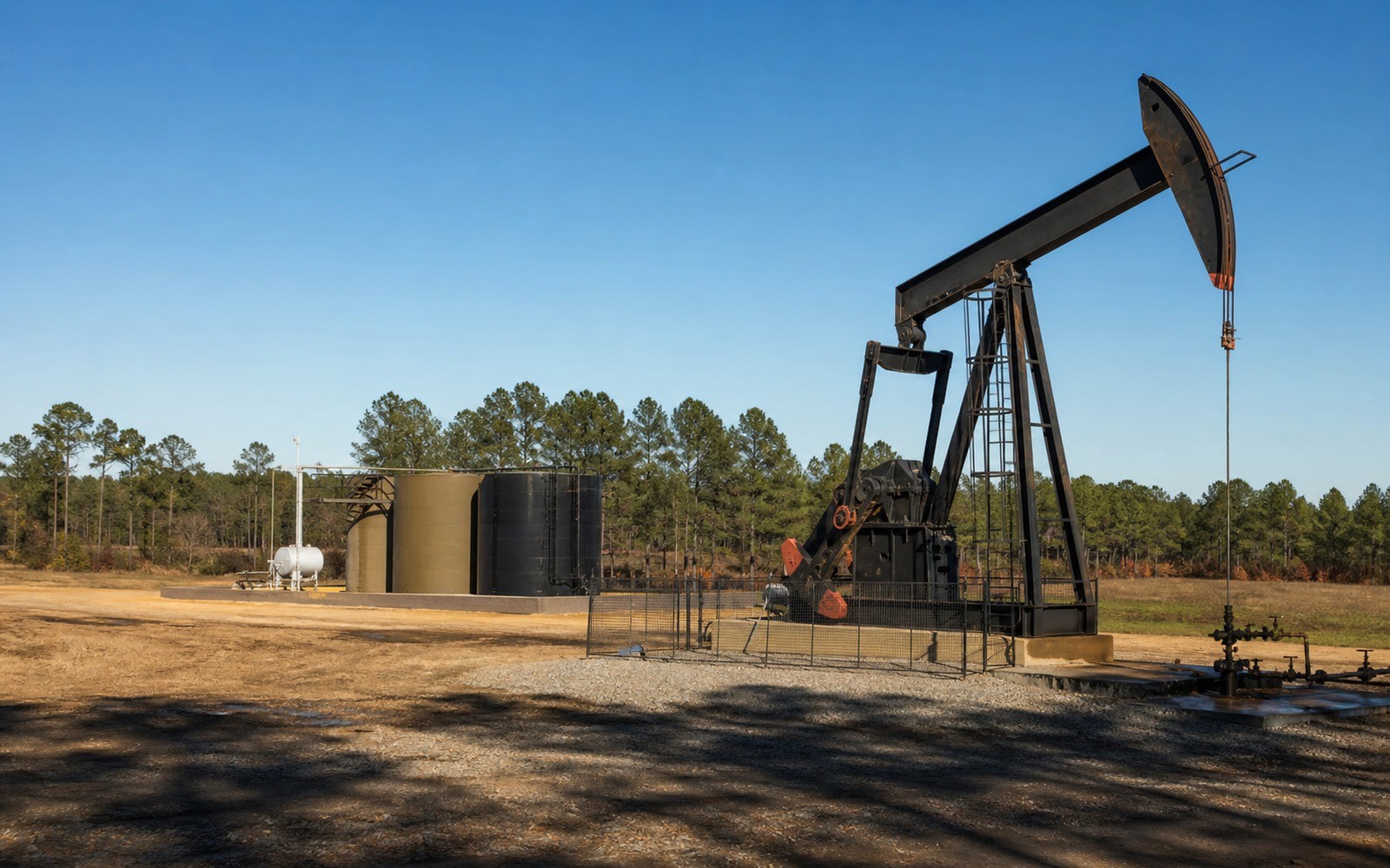 Black Warrior Basin Mineral Rights