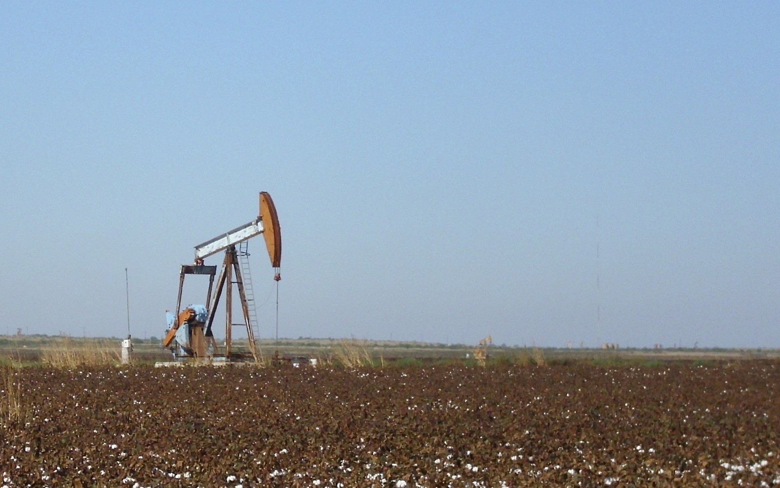 Eagle Ford Shale Mineral Rights